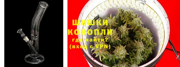 хмурый Ладушкин