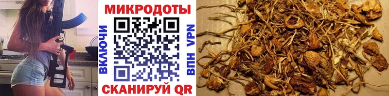 цены   MEGA онион  Псилоцибиновые грибы Psilocybe  Рошаль 